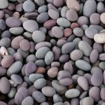 Pebbles-Gupta Stone